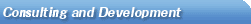 Consulting and Development